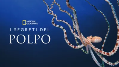 I Segreti del Polpo