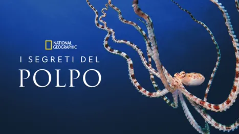 thumbnail - I Segreti del Polpo