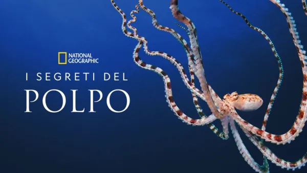 thumbnail - I Segreti del Polpo