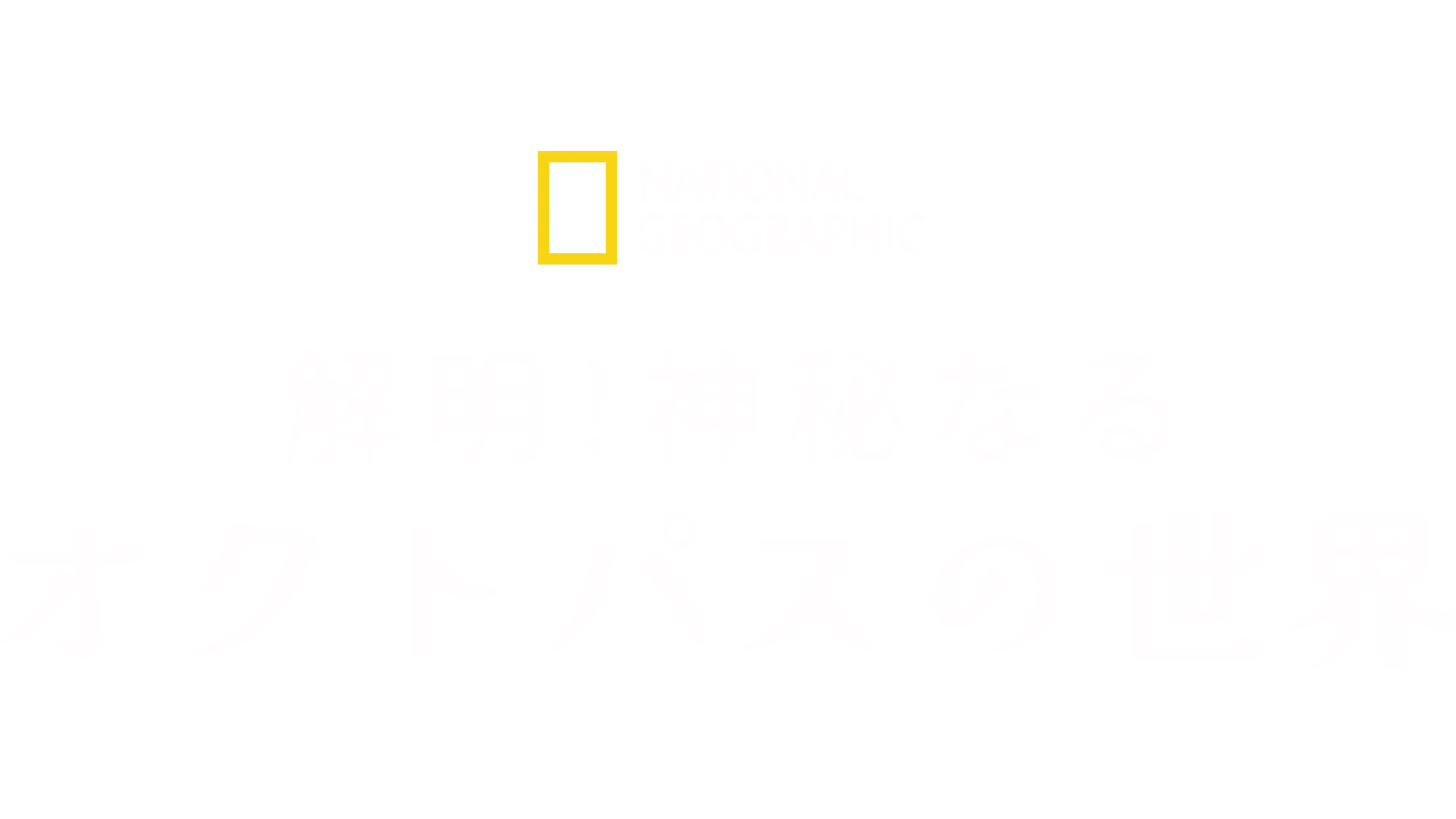 解明！神秘なるオクトパスの世界