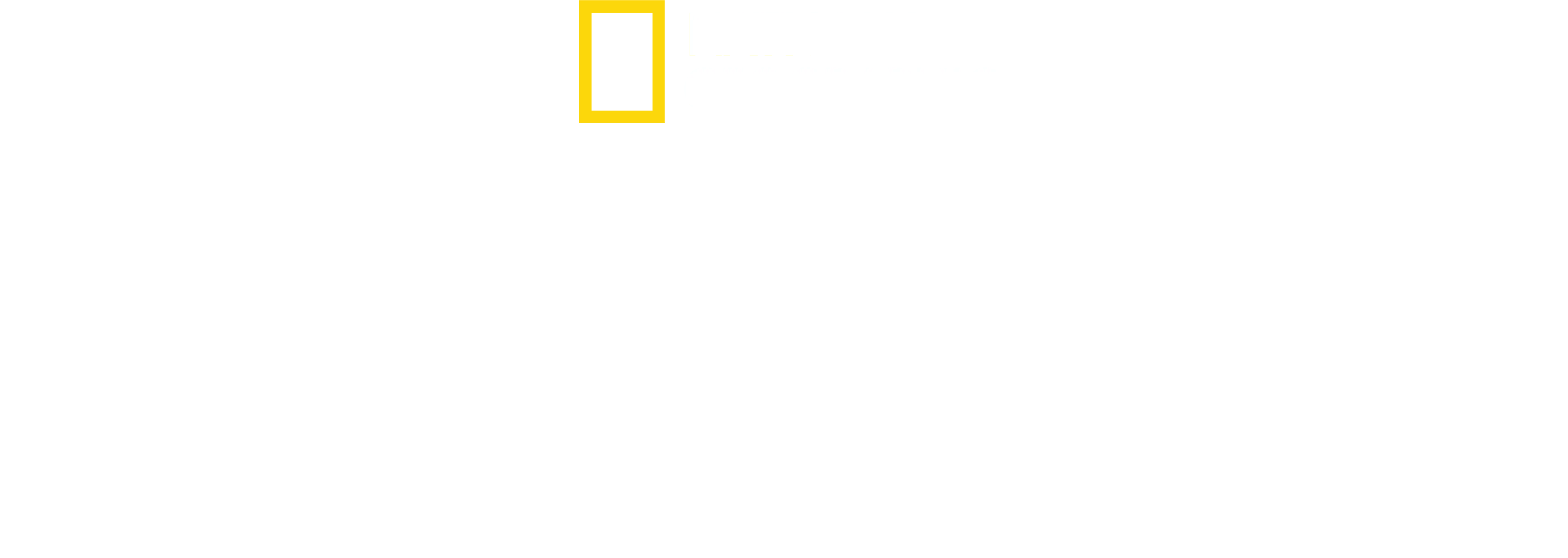解明！神秘なるオクトパスの世界