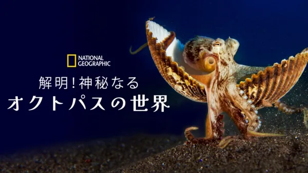 thumbnail - 解明！神秘なるオクトパスの世界