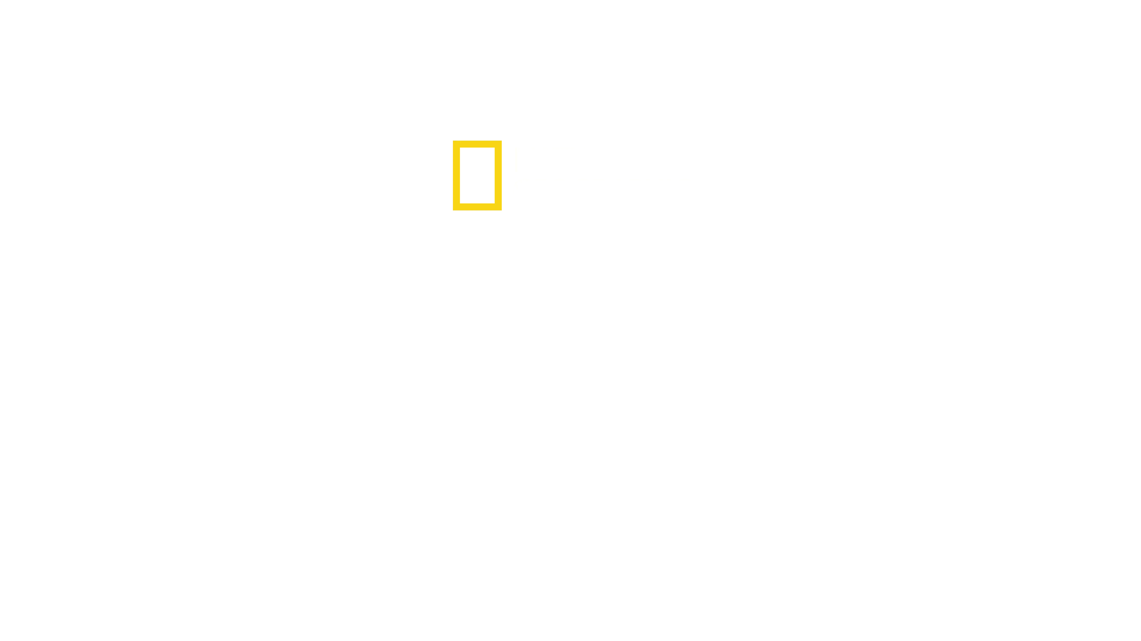 Sekretne życie ośmiornic