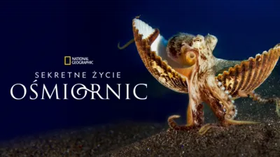 Sekretne życie ośmiornic
