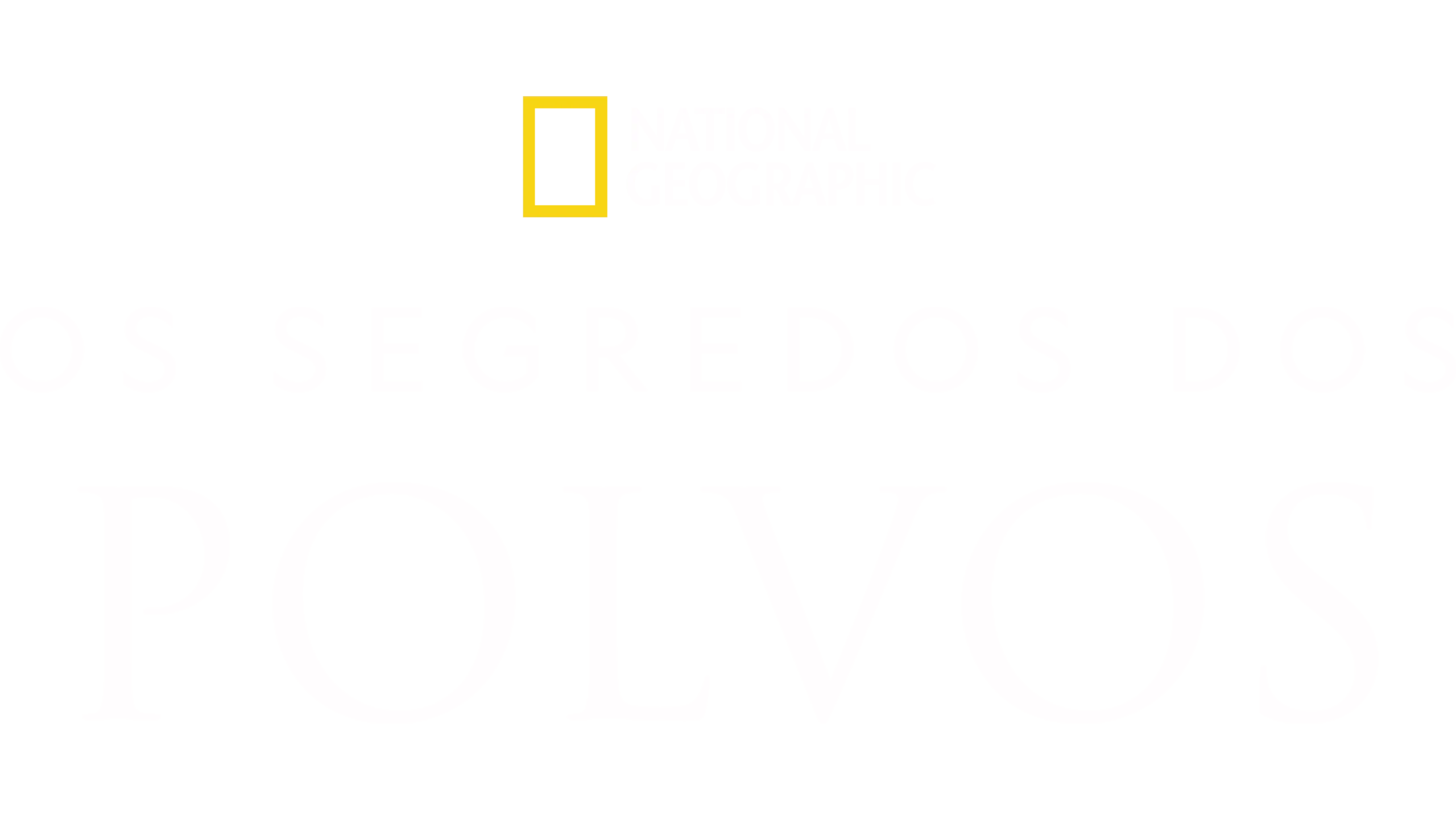 Os Segredos dos Polvos
