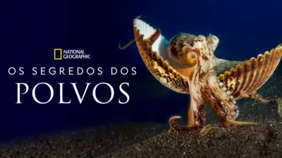 Os Segredos dos Polvos