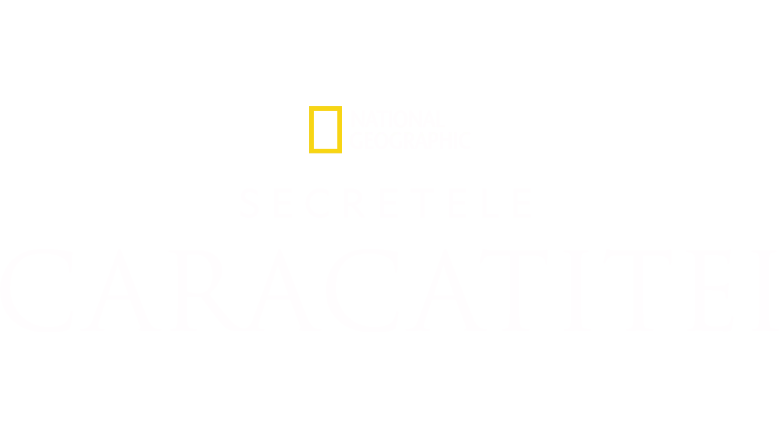 Secretele Caracatiței