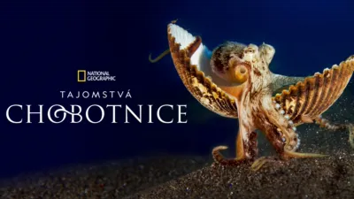 Tajomstvá chobotnice