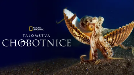 thumbnail - Tajomstvá chobotnice
