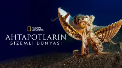 Ahtapotların Gizemli Dünyası