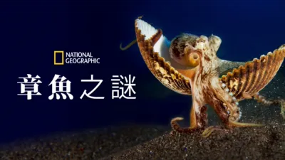 章魚之謎