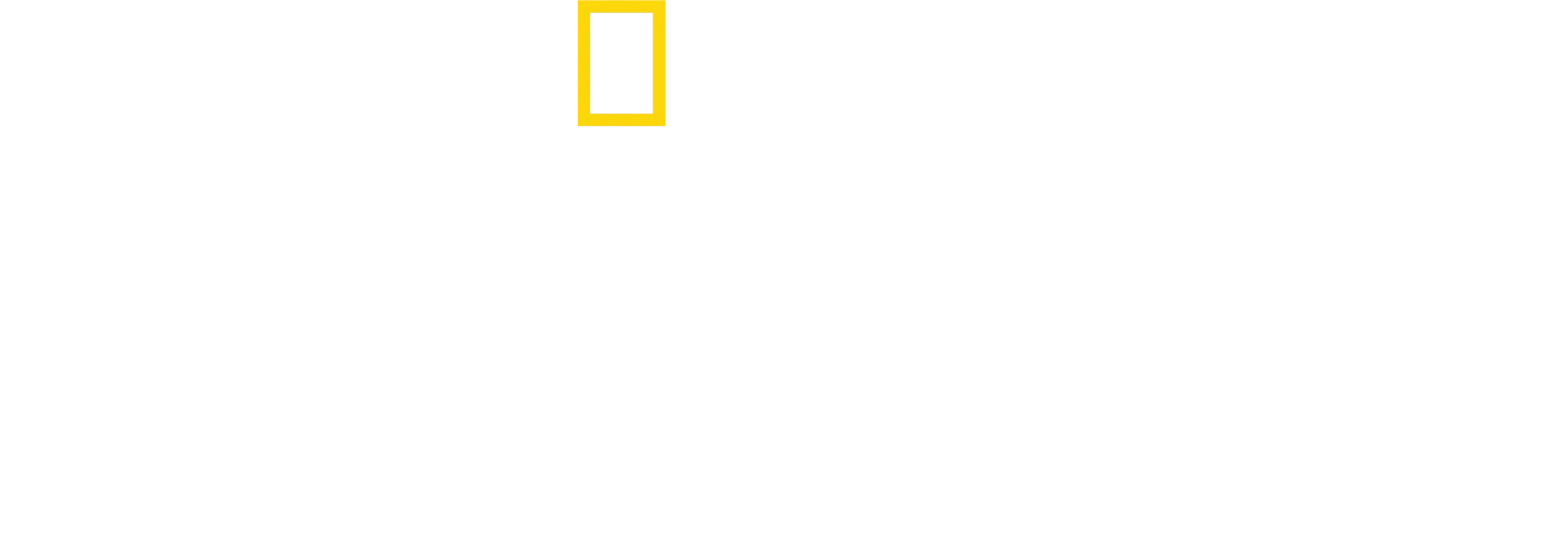 《雪崩余生》