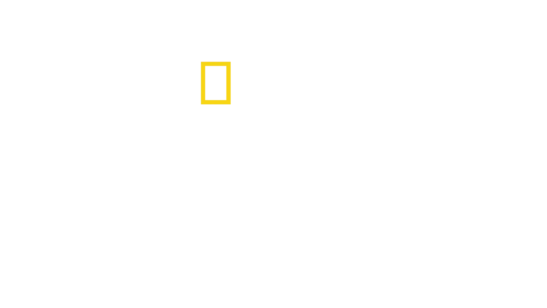 리멤버 알렉스