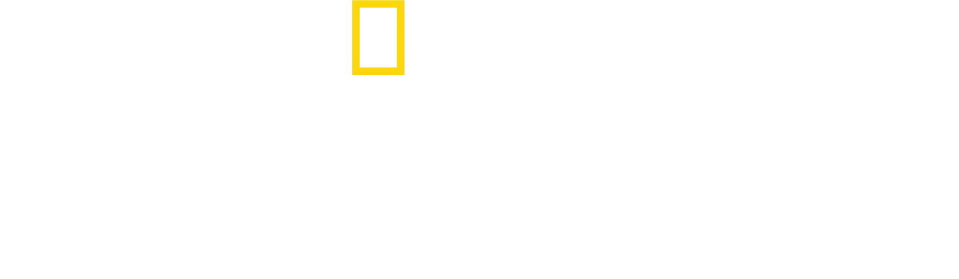 리멤버 알렉스