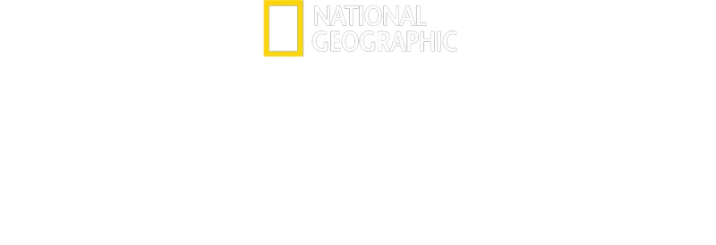 山難之後