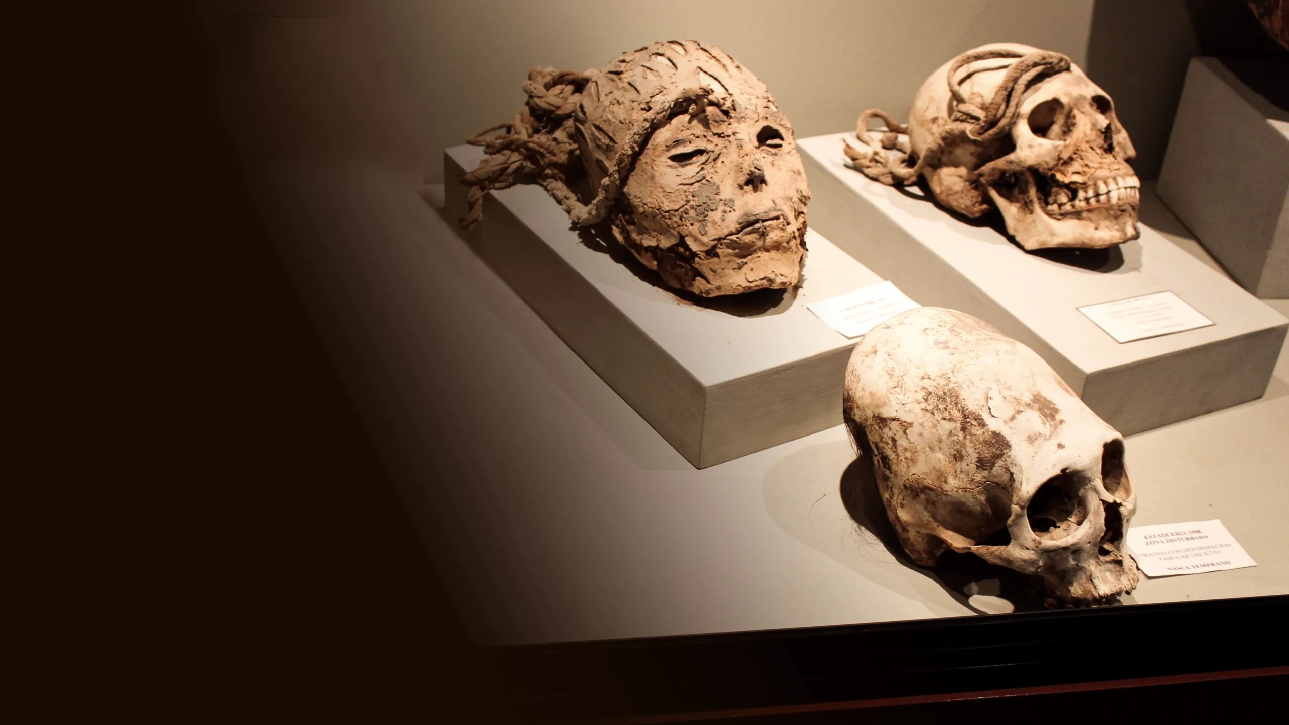 Las Líneas de Nasca