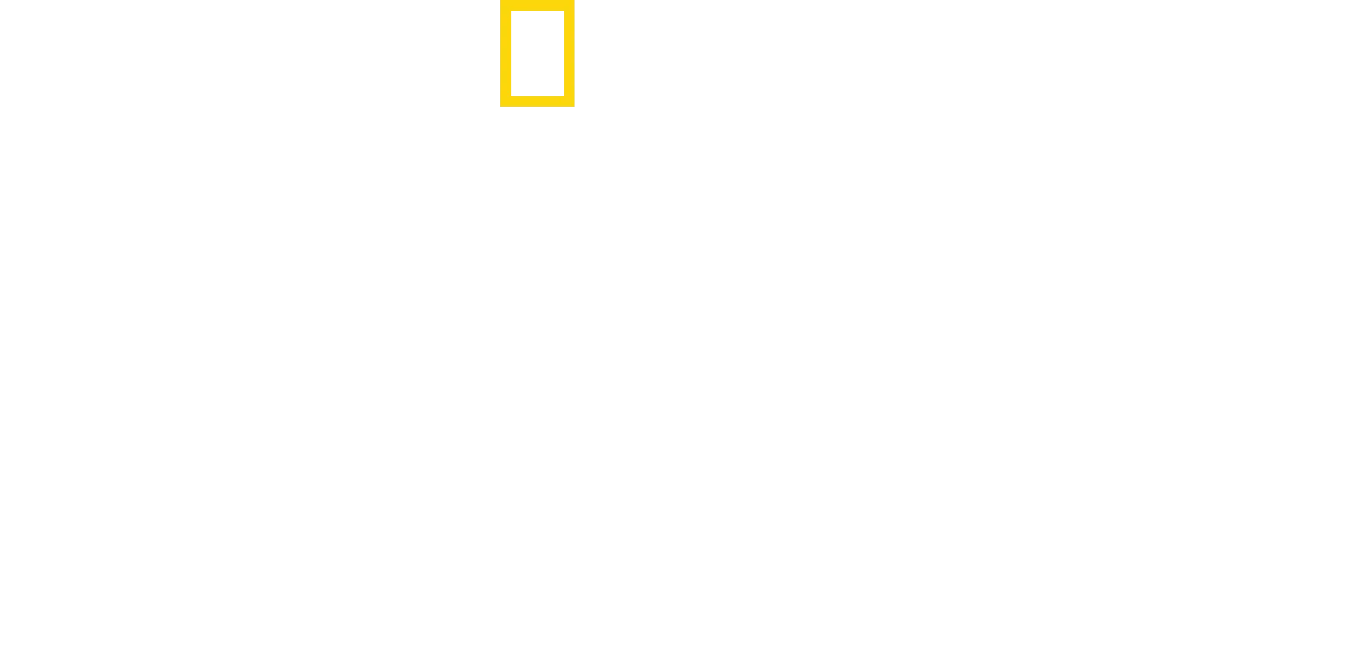L'ascesa dei ricordi