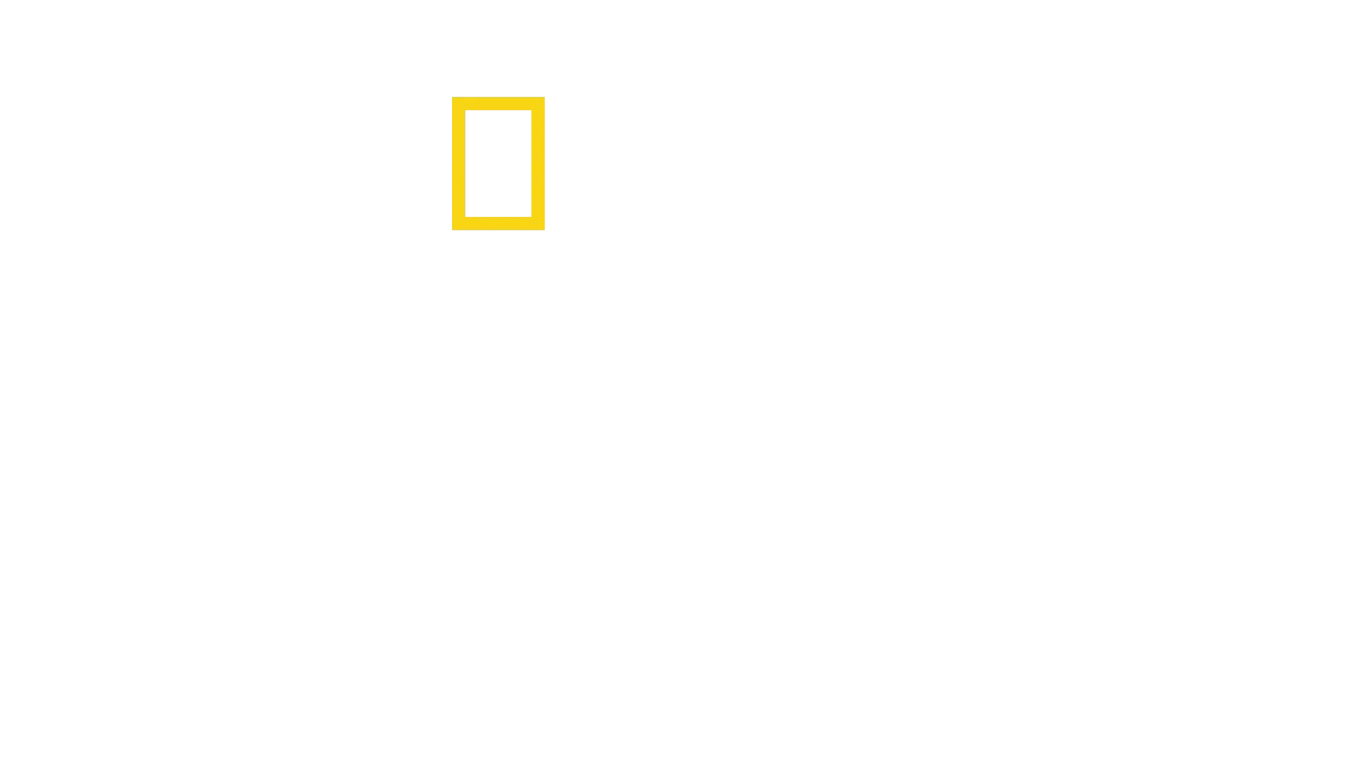 Na krawędzi ryzyka