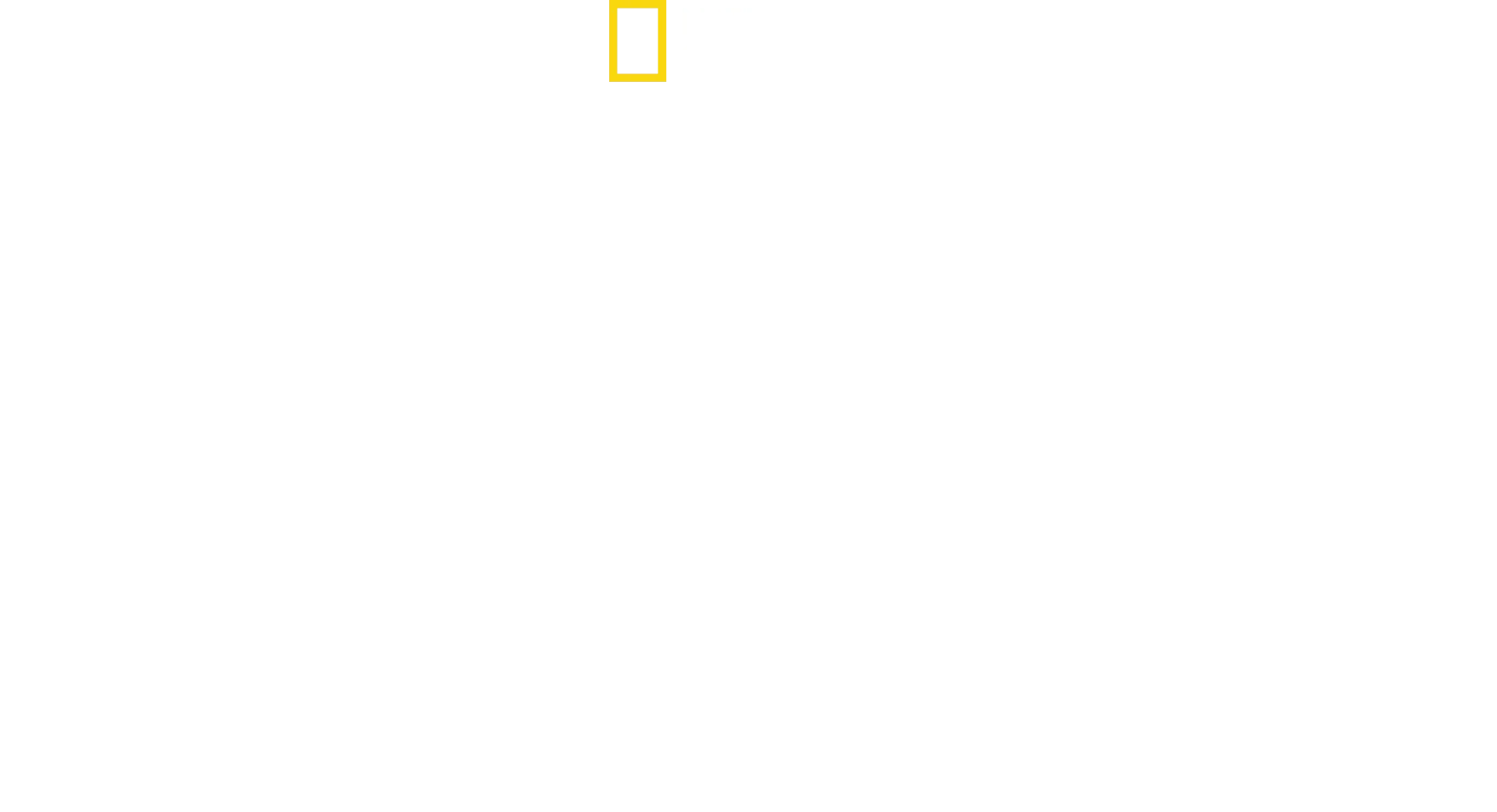 Nasca Lines Decoded