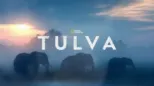thumbnail - Tulva