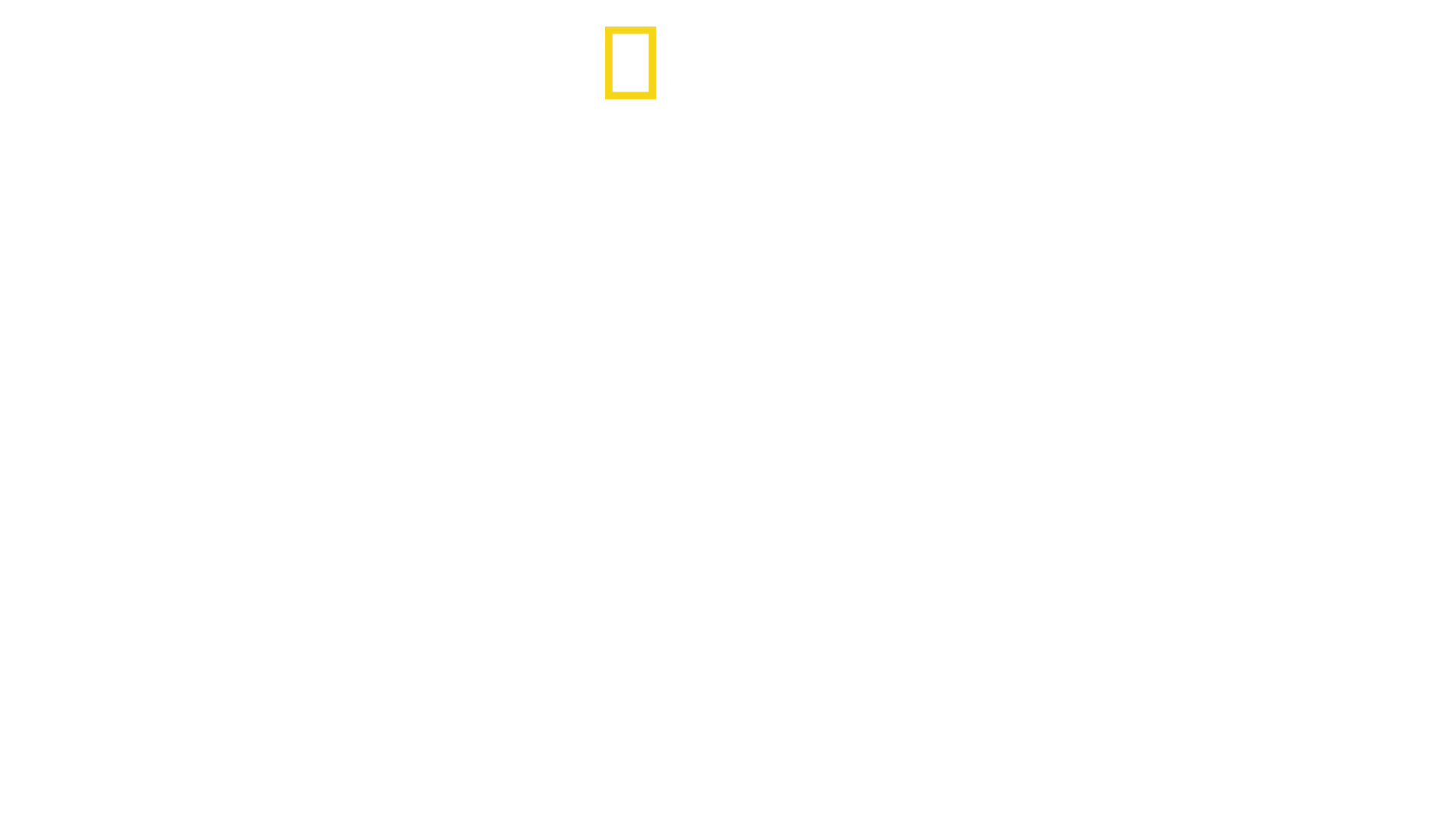 Las Líneas de Nasca