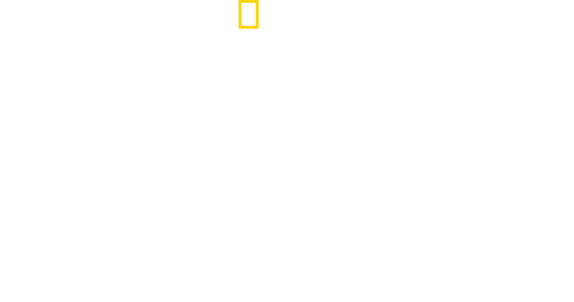 Las Líneas de Nasca