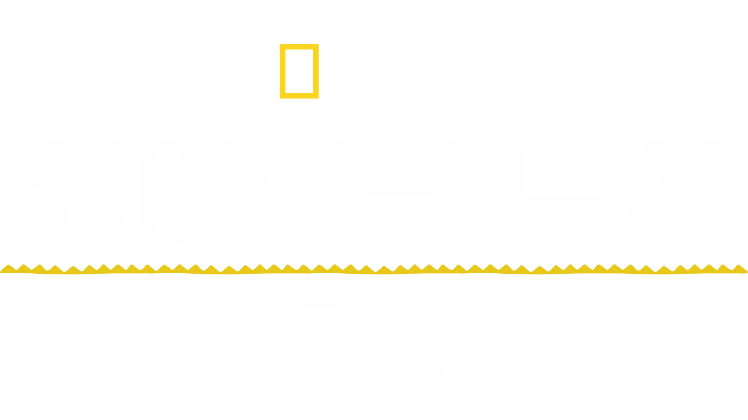 잃어버린 도시: 티칼