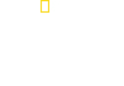 解読！ナスカの地上絵