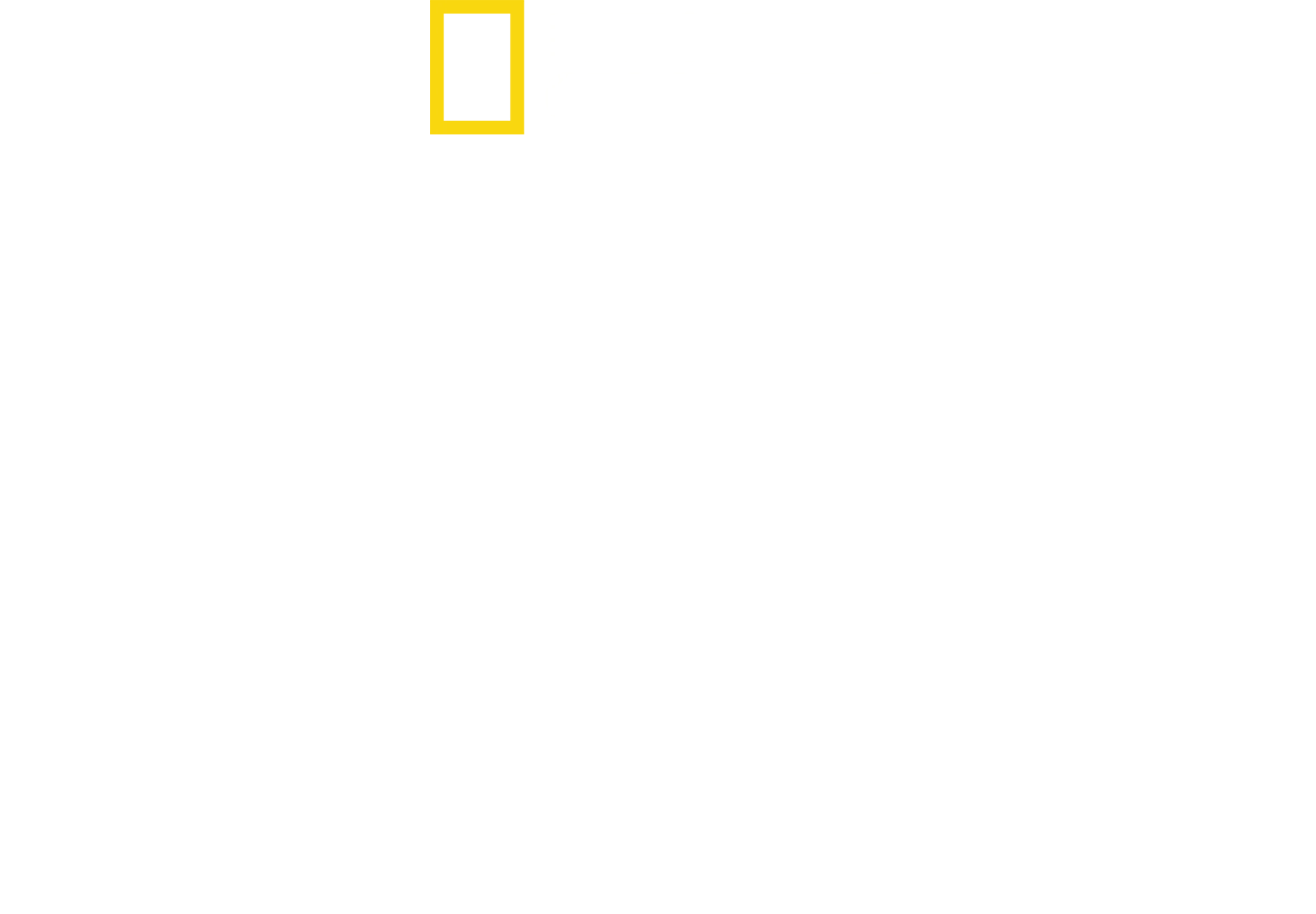解読！ナスカの地上絵