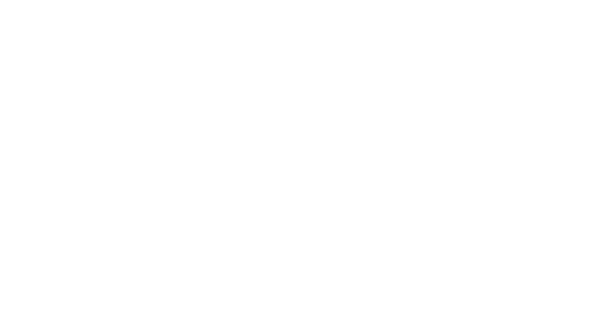 Brazil Untamed