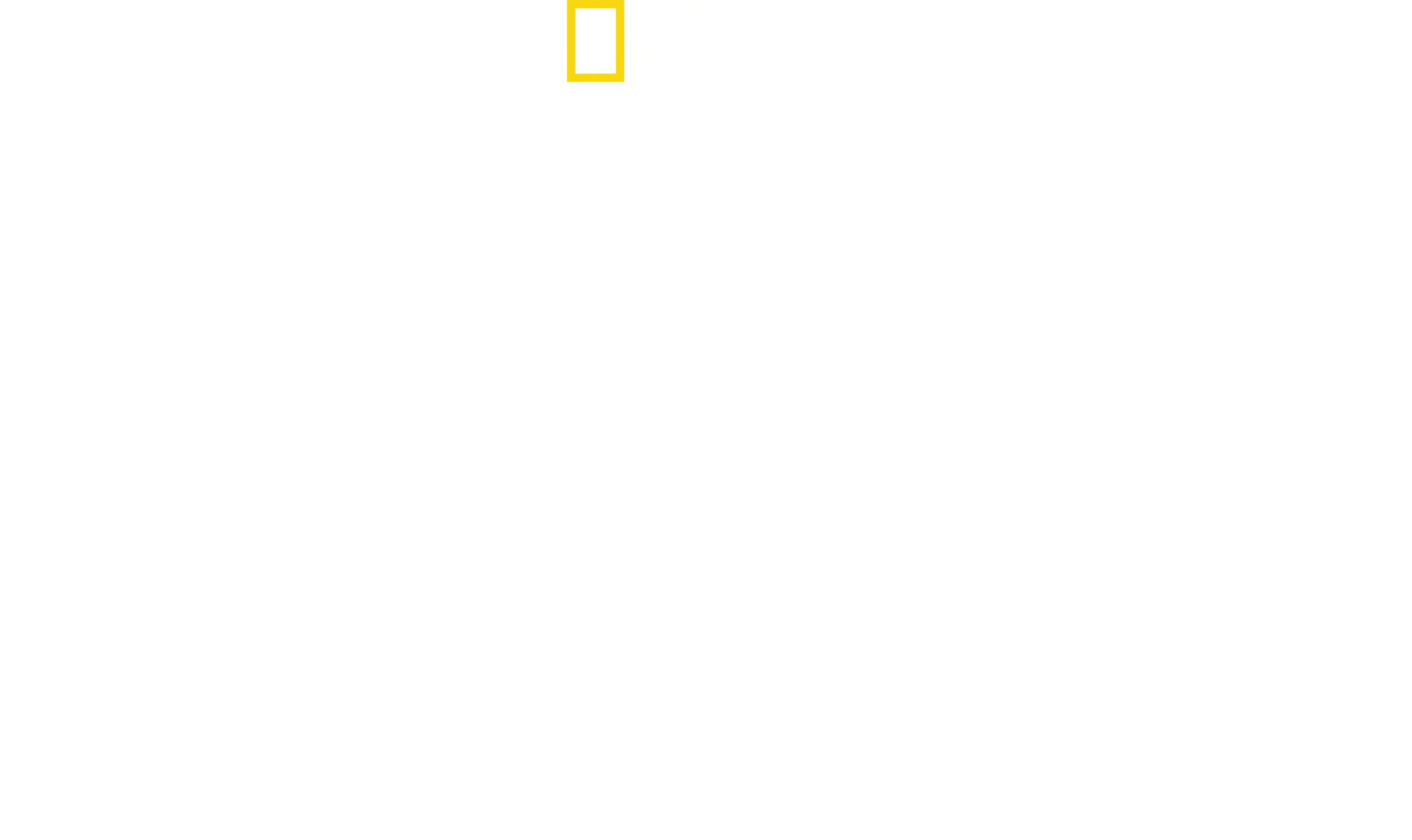 Rouge Shark?