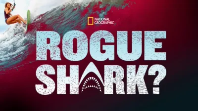 Rogue Shark?