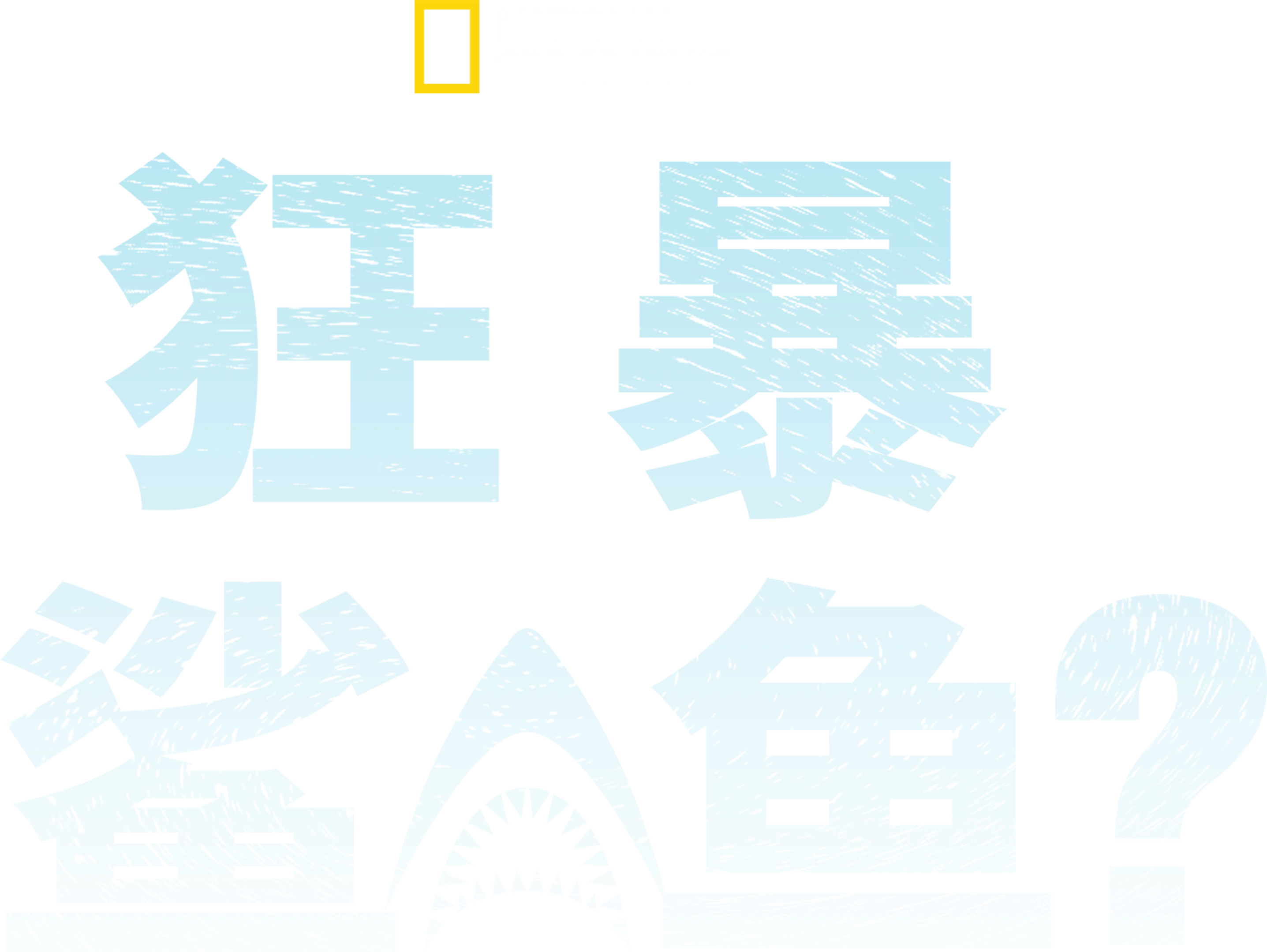 狂暴鲨鱼？