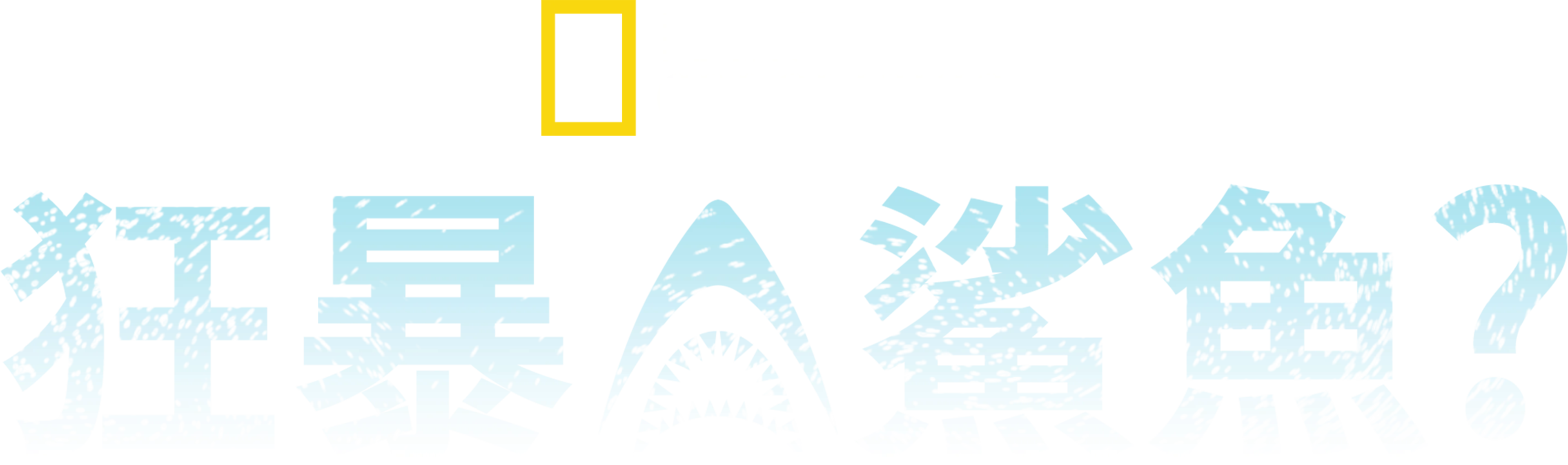 狂暴鯊魚？