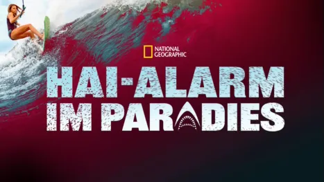 thumbnail - Hai-Alarm im Paradies