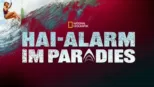 thumbnail - Hai-Alarm im Paradies