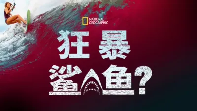 狂暴鲨鱼？