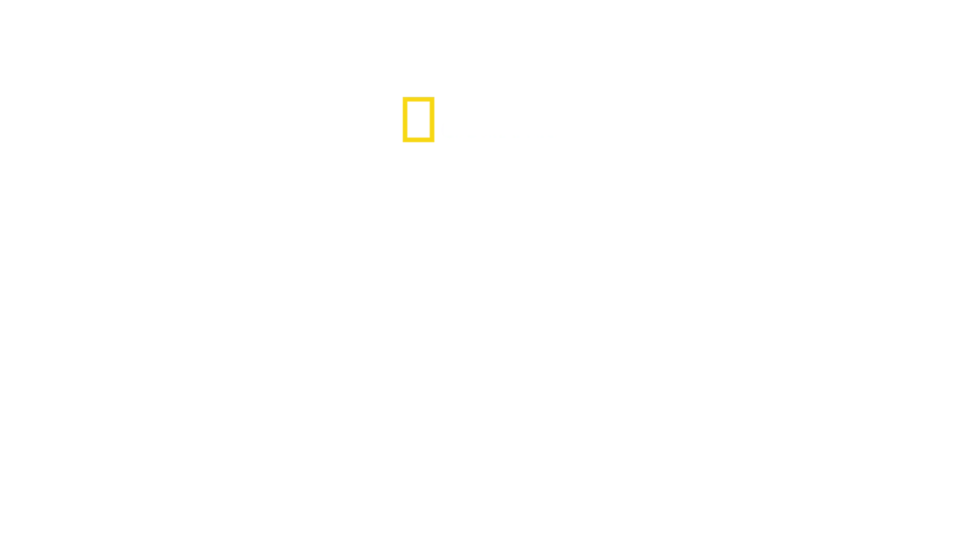 Mandíbulas letales