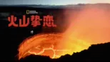 thumbnail - 火山挚恋