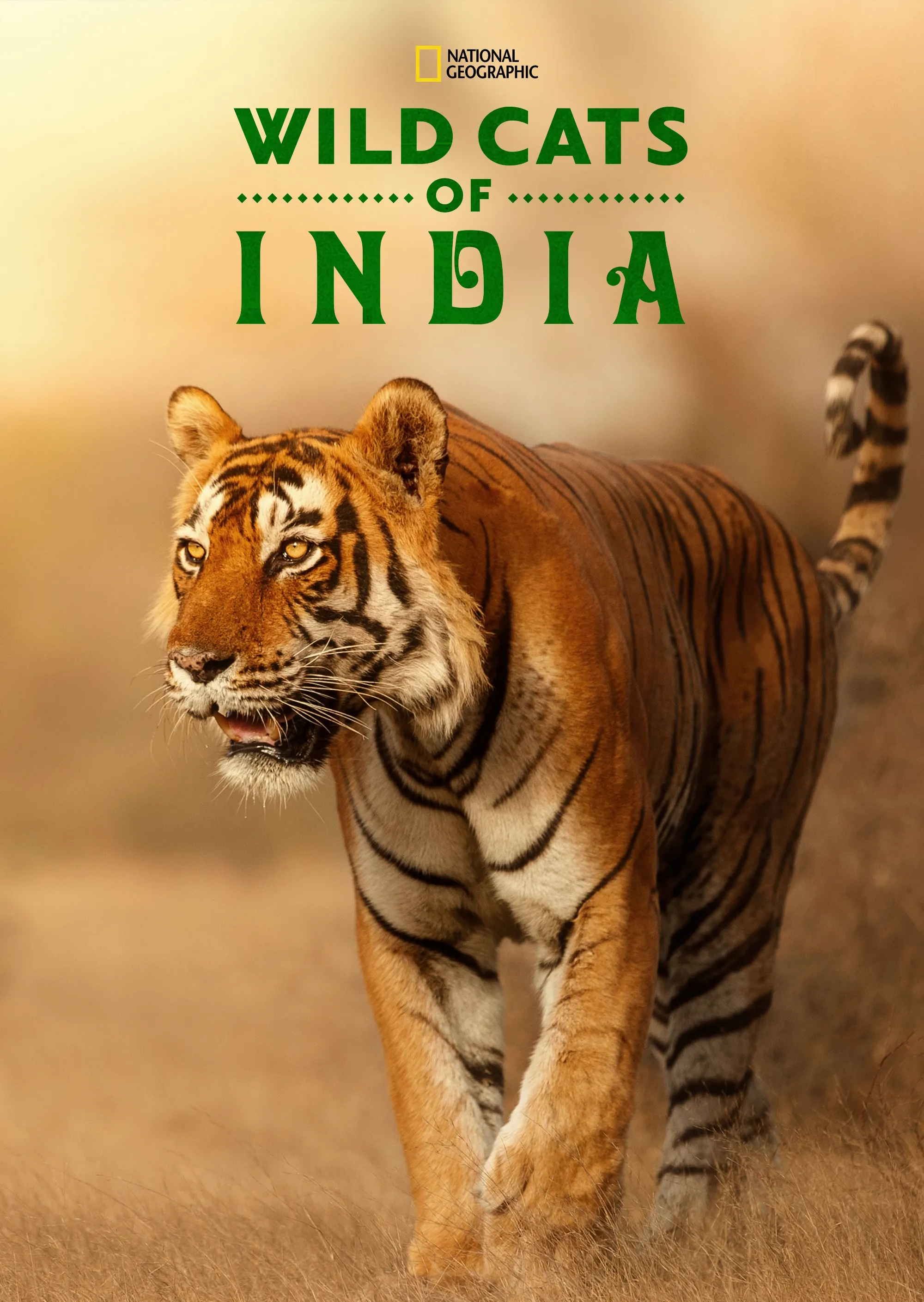 Wild Cats of India