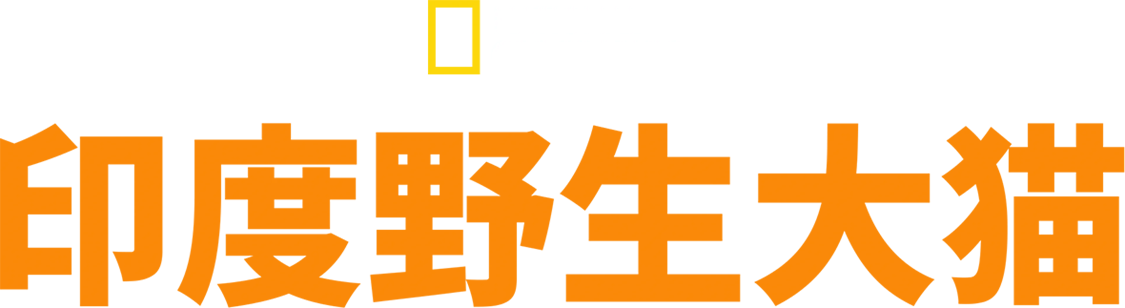 印度狂野大猫
