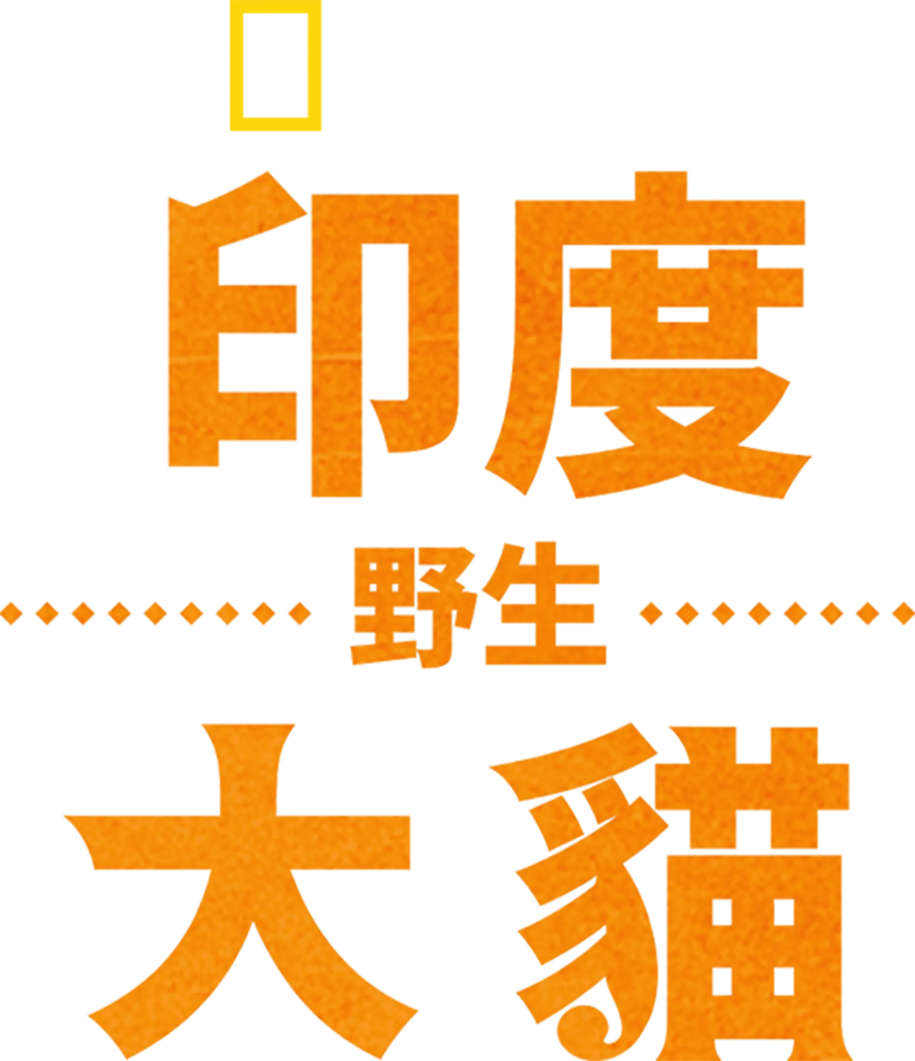 印度野生大貓