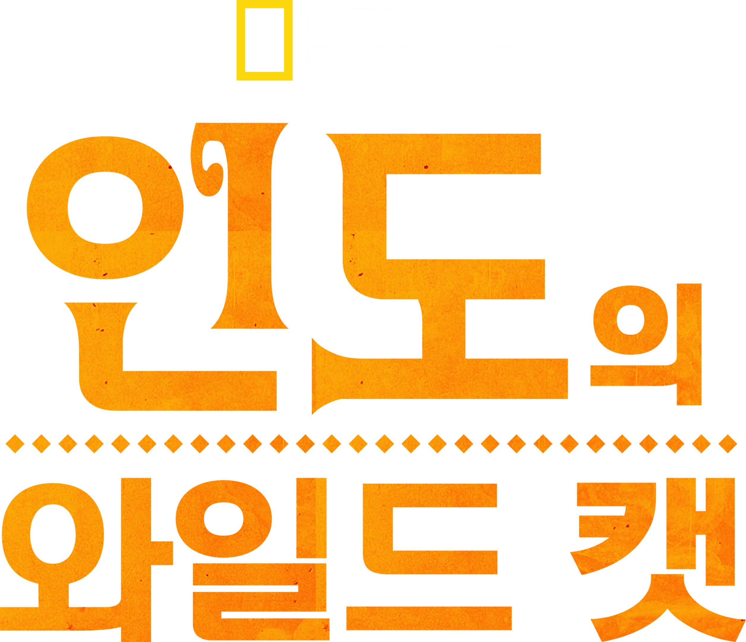 인도의 와일드 캣