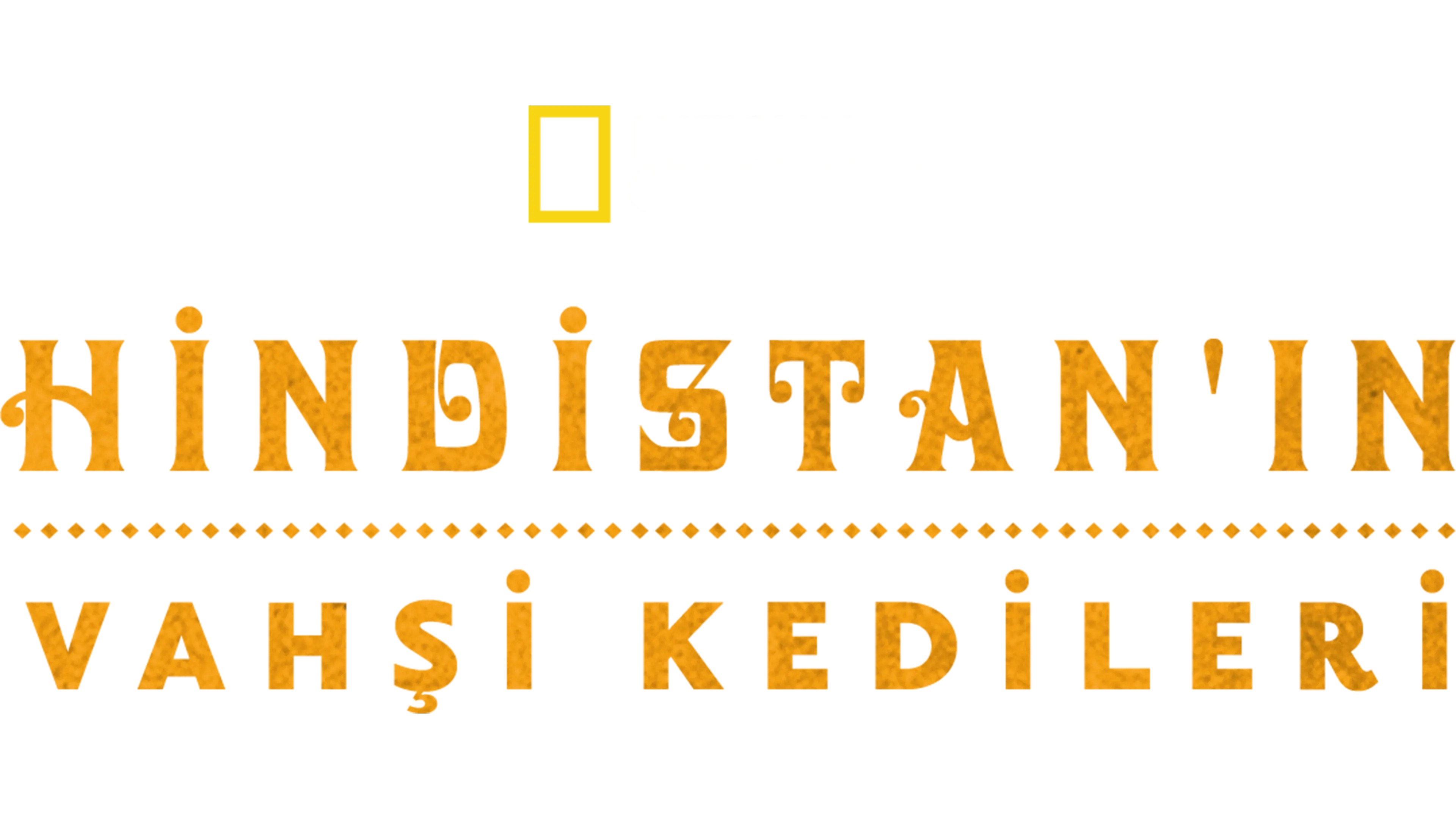 Hindistan'ın Vahşi Kedileri