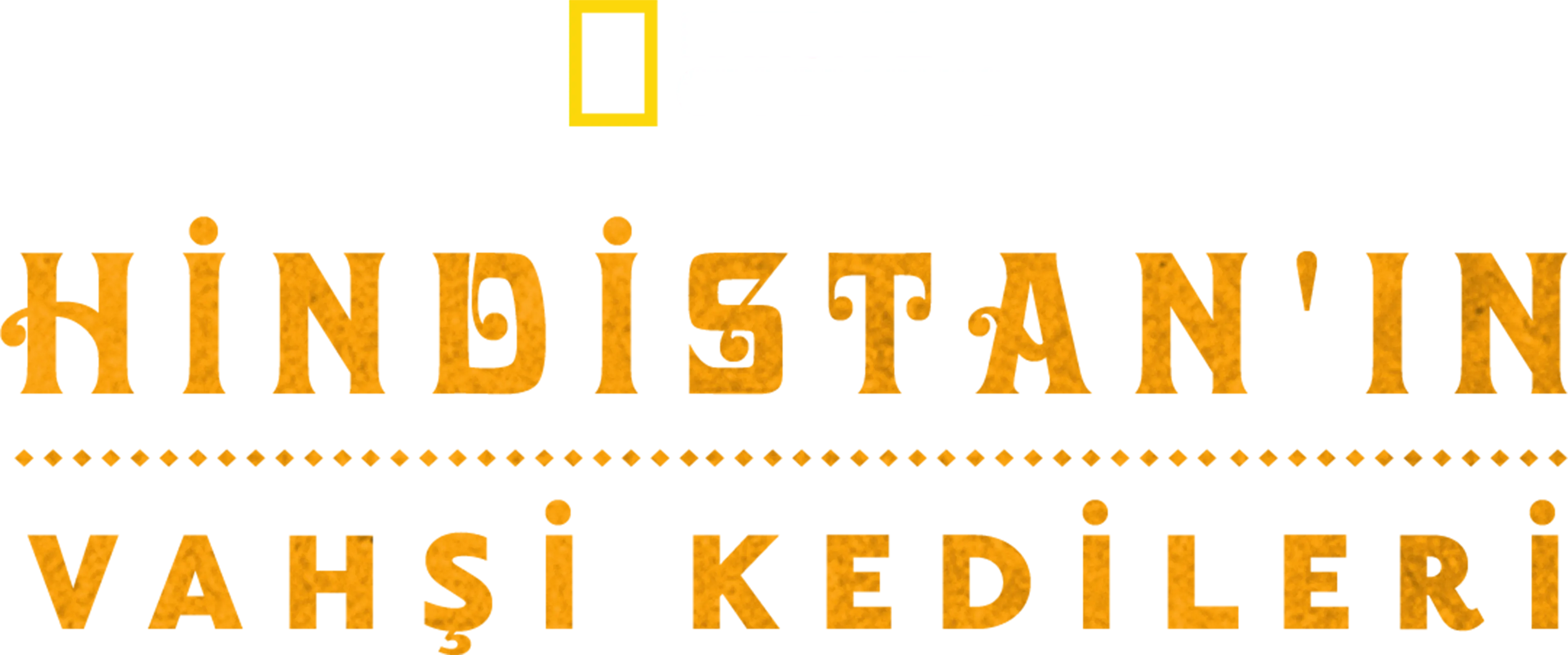 Hindistan'ın Vahşi Kedileri