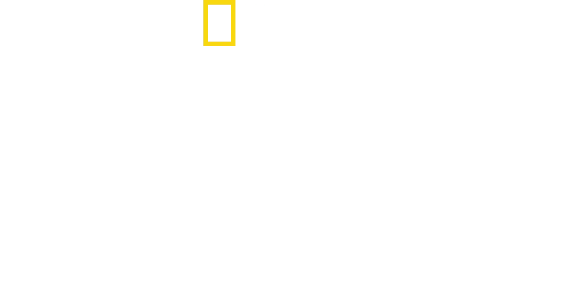 Tajemství slonů