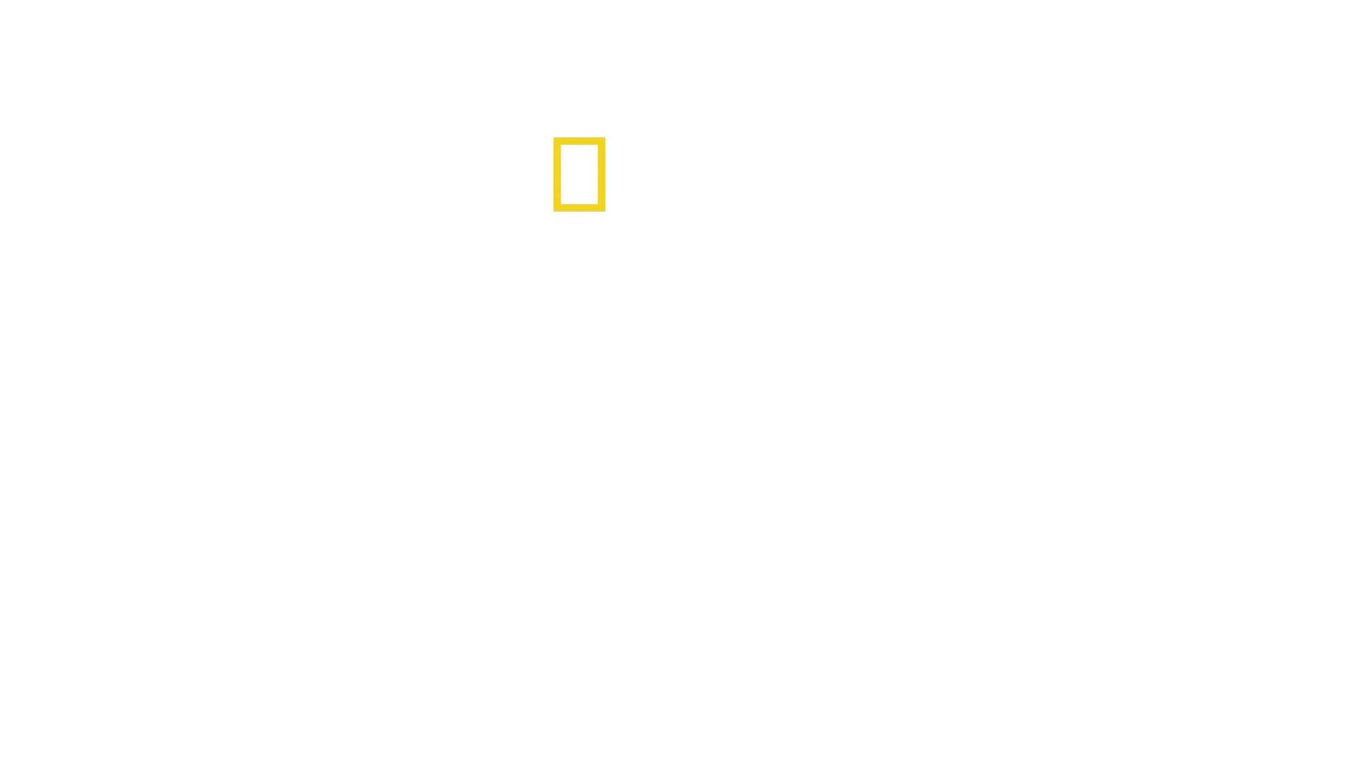 Secrets of the Elephants