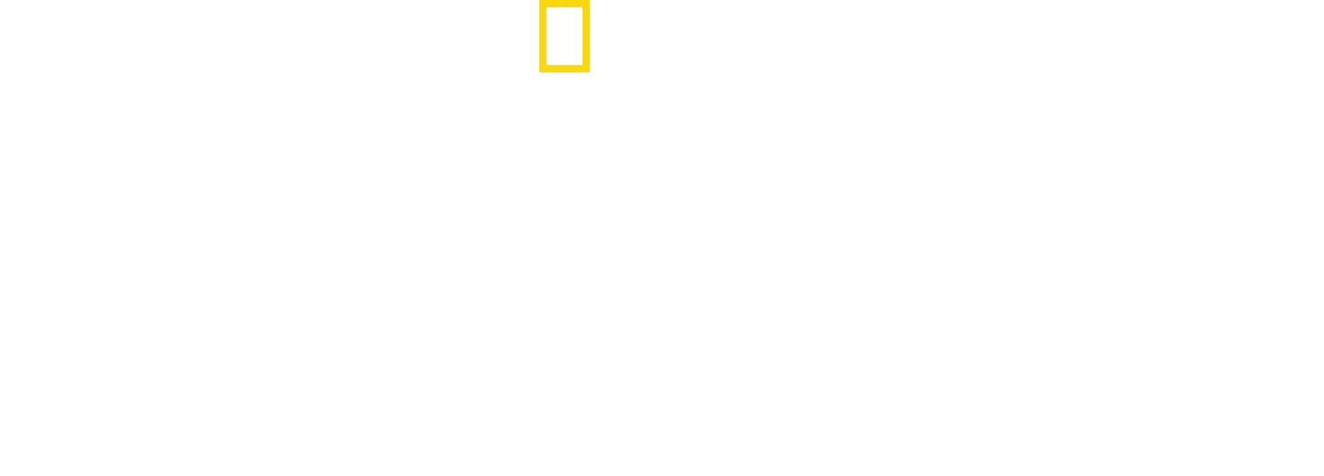 Secrets of the Elephants