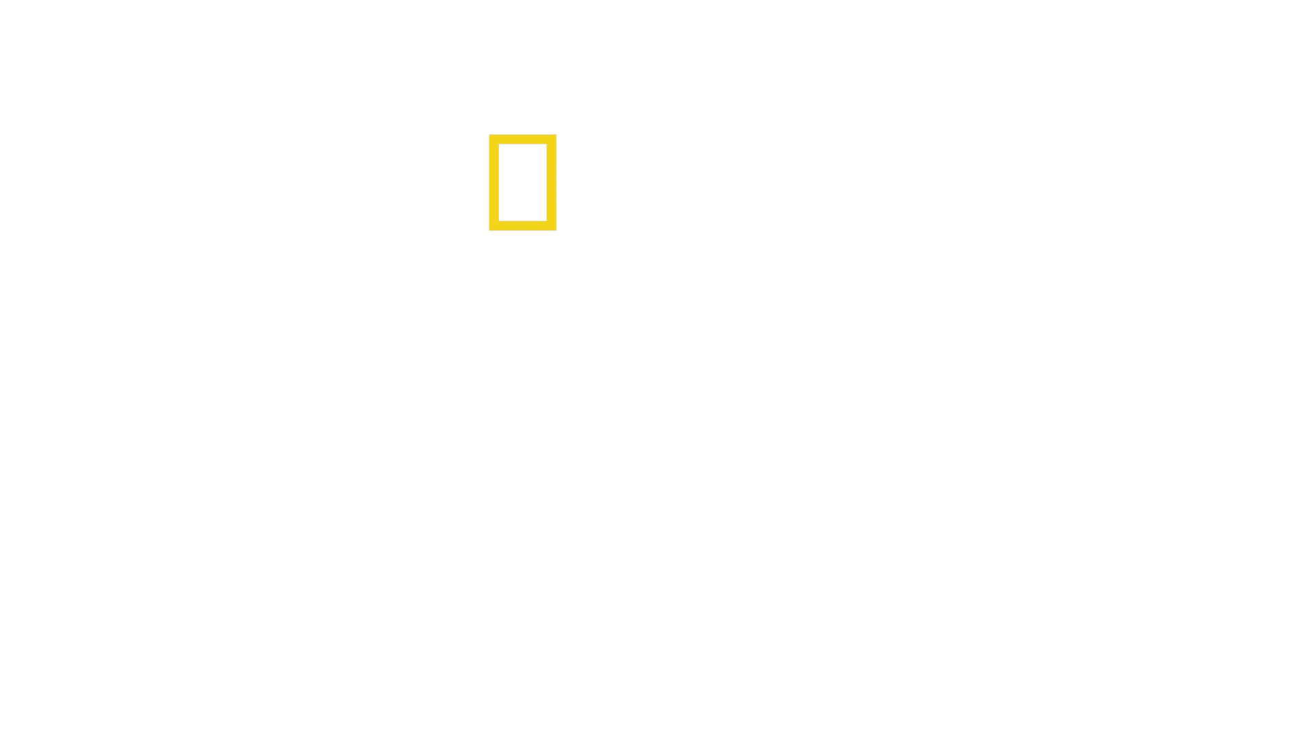 Τα Μυστικά των Ελεφάντων