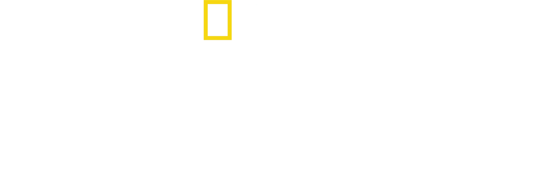 Τα Μυστικά των Ελεφάντων